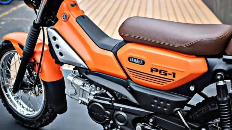 Yamaha Pg 1 Bike